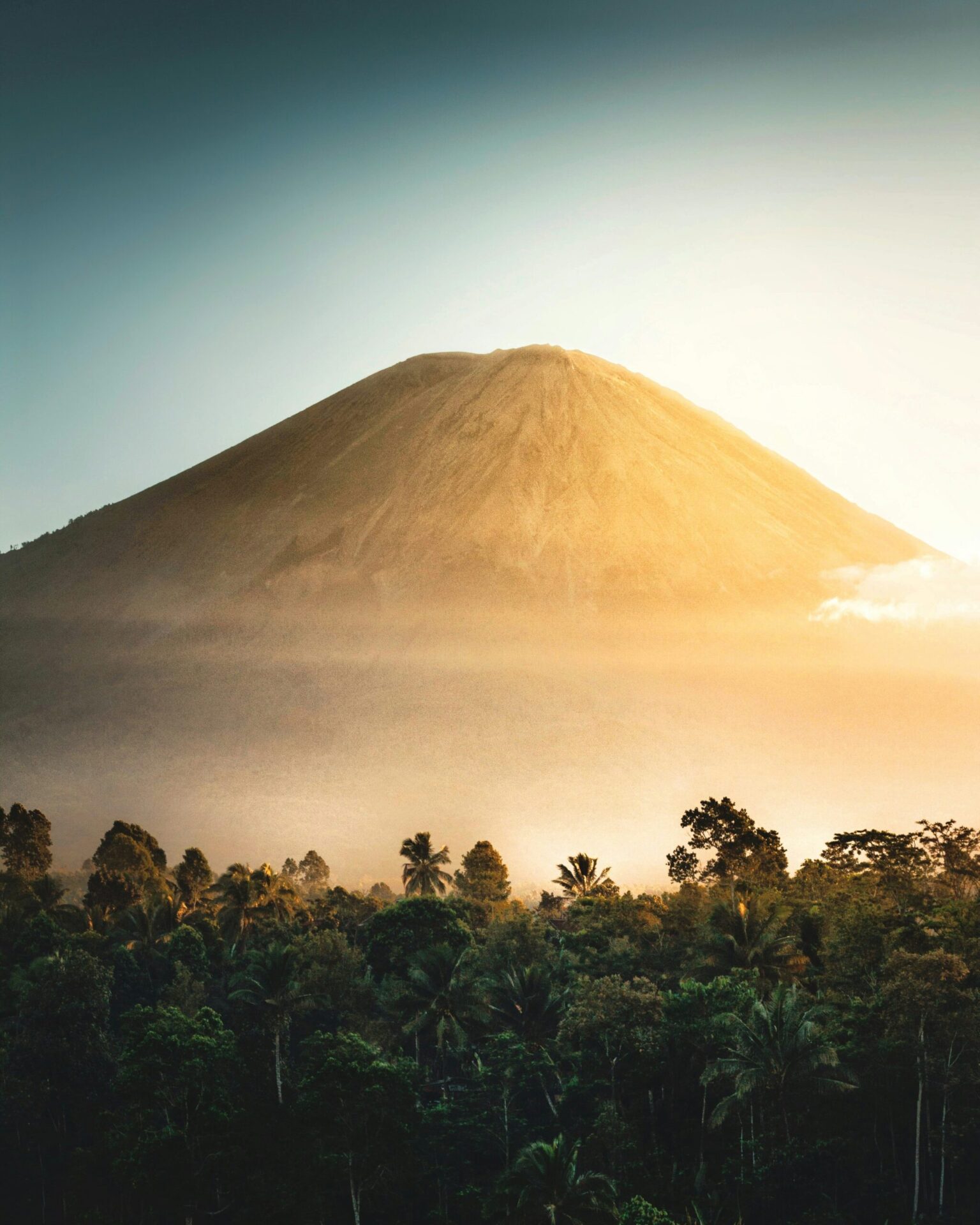 dwinanda nurhanif mujito pkt5mg16w w unsplash